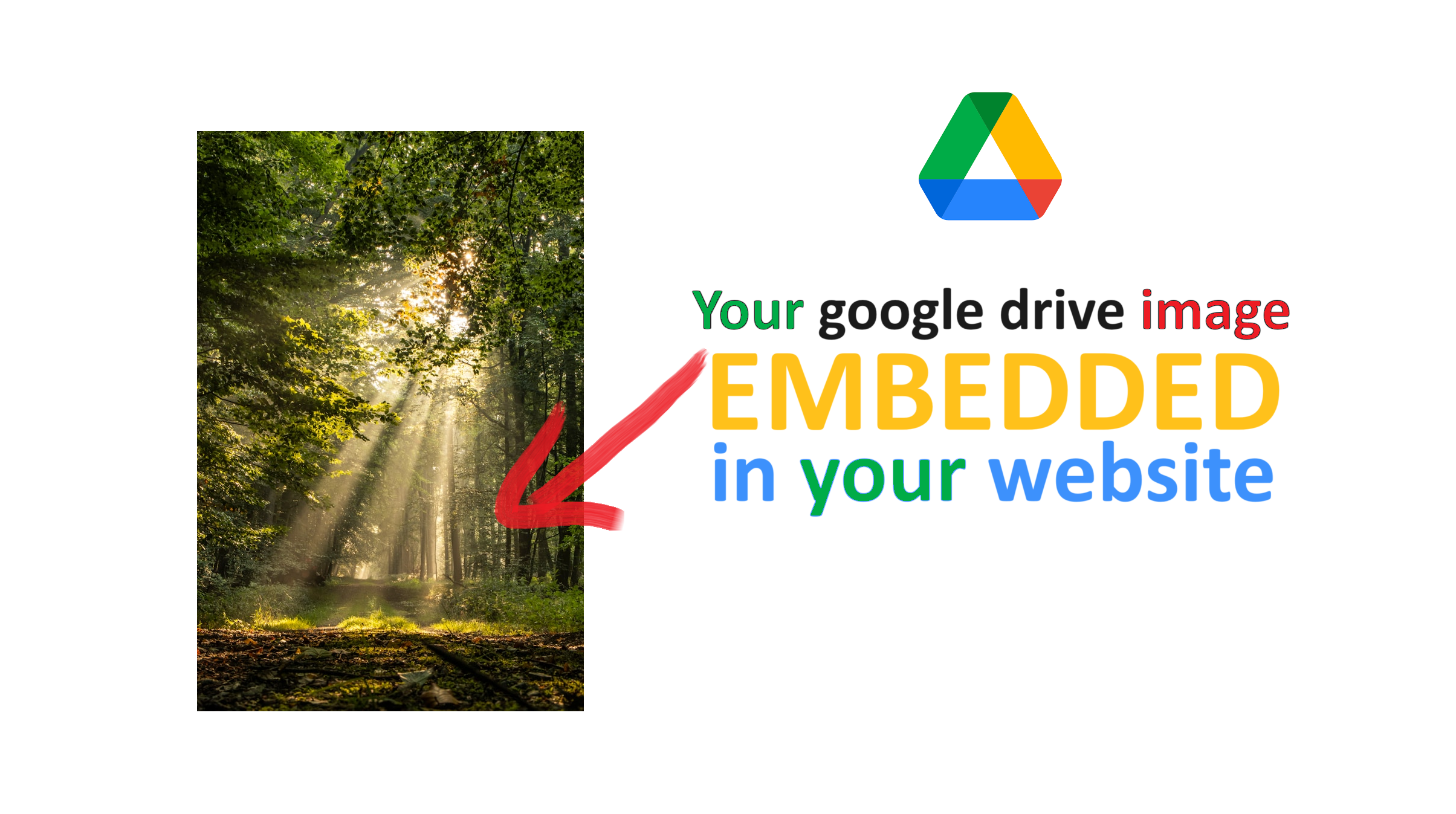 How to embed any image from google drive into your website
